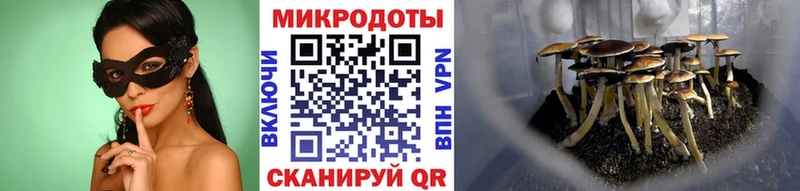 Псилоцибиновые грибы мицелий  Порхов 